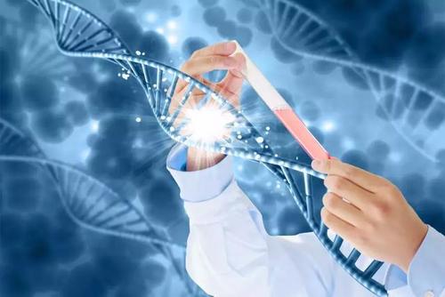 試管嬰兒的要求，怎樣更容易成功？