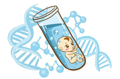 試管嬰兒胚胎哪種好？和凍胚的成功率一樣嗎？