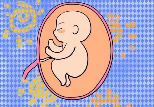 試管嬰兒真實成功率是多少？不要虛構