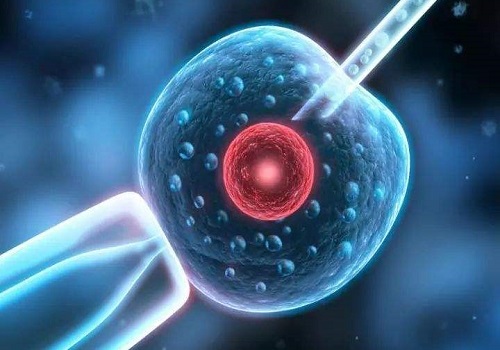 2021下半年做個試管寶寶需要多少錢？