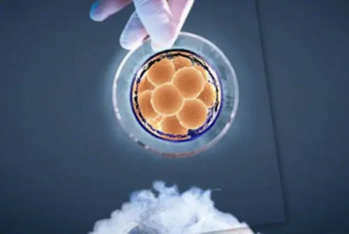 試管嬰兒移植后注意事項有哪些？身體會有哪些感覺？