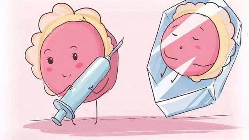 試管嬰兒攻略精華