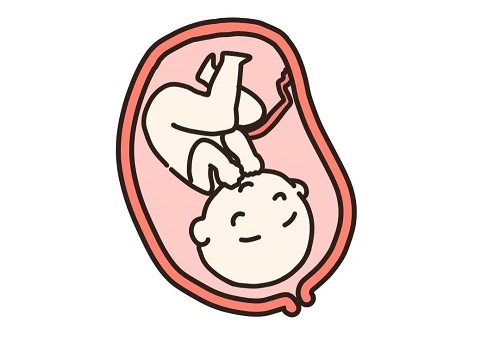 試管嬰兒胚胎怎么選？等級越高越好嗎？