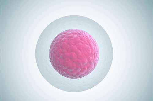 2022年單身女可以去醫院做試管嬰兒嗎？