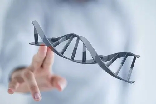 試管嬰兒的具體步驟和注意事項(xiàng)有哪些？