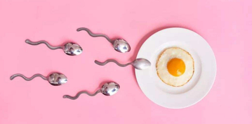 2021年試管嬰兒國家補(bǔ)貼是真的還是假的?