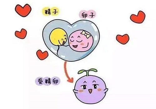 泰國第三代試管嬰兒技術優勢好處是什么
