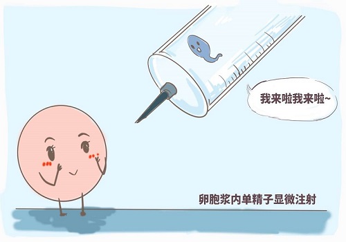 試管嬰兒能決定嗎