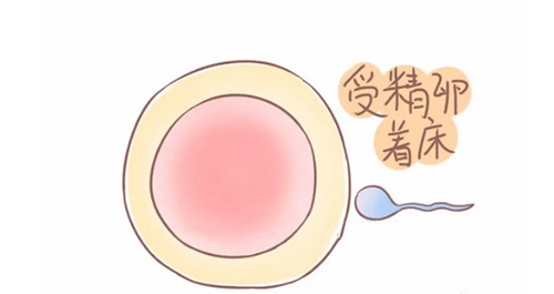 試管嬰兒的費用包括哪些呢