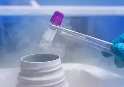 泰國做試管嬰兒需要辦理哪些手續(xù)